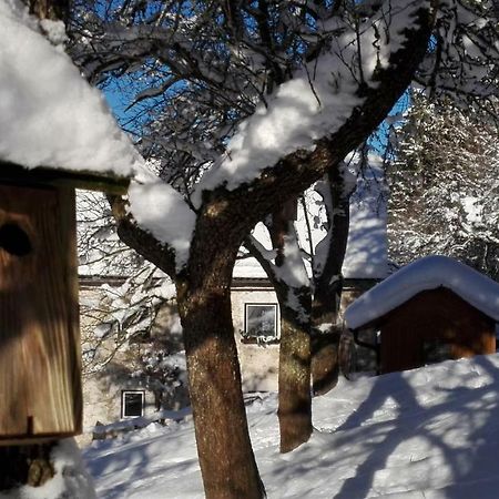 Ferienhaus Hirschnest Sankt Pankraz Esterno foto