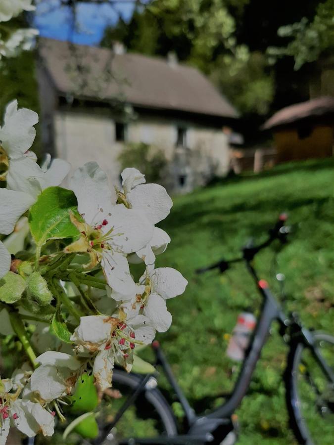 Ferienhaus Hirschnest Sankt Pankraz Esterno foto