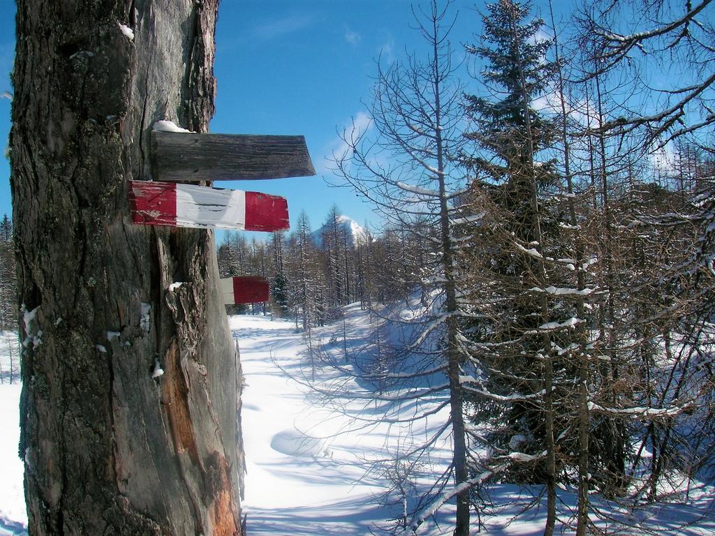 Ferienhaus Hirschnest Sankt Pankraz Esterno foto