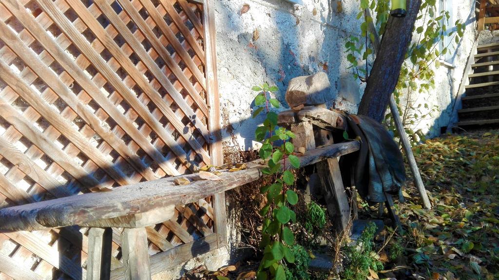 Ferienhaus Hirschnest Sankt Pankraz Esterno foto