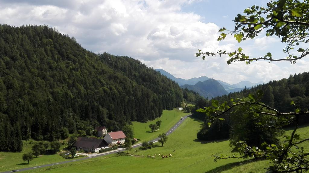 Ferienhaus Hirschnest Sankt Pankraz Esterno foto