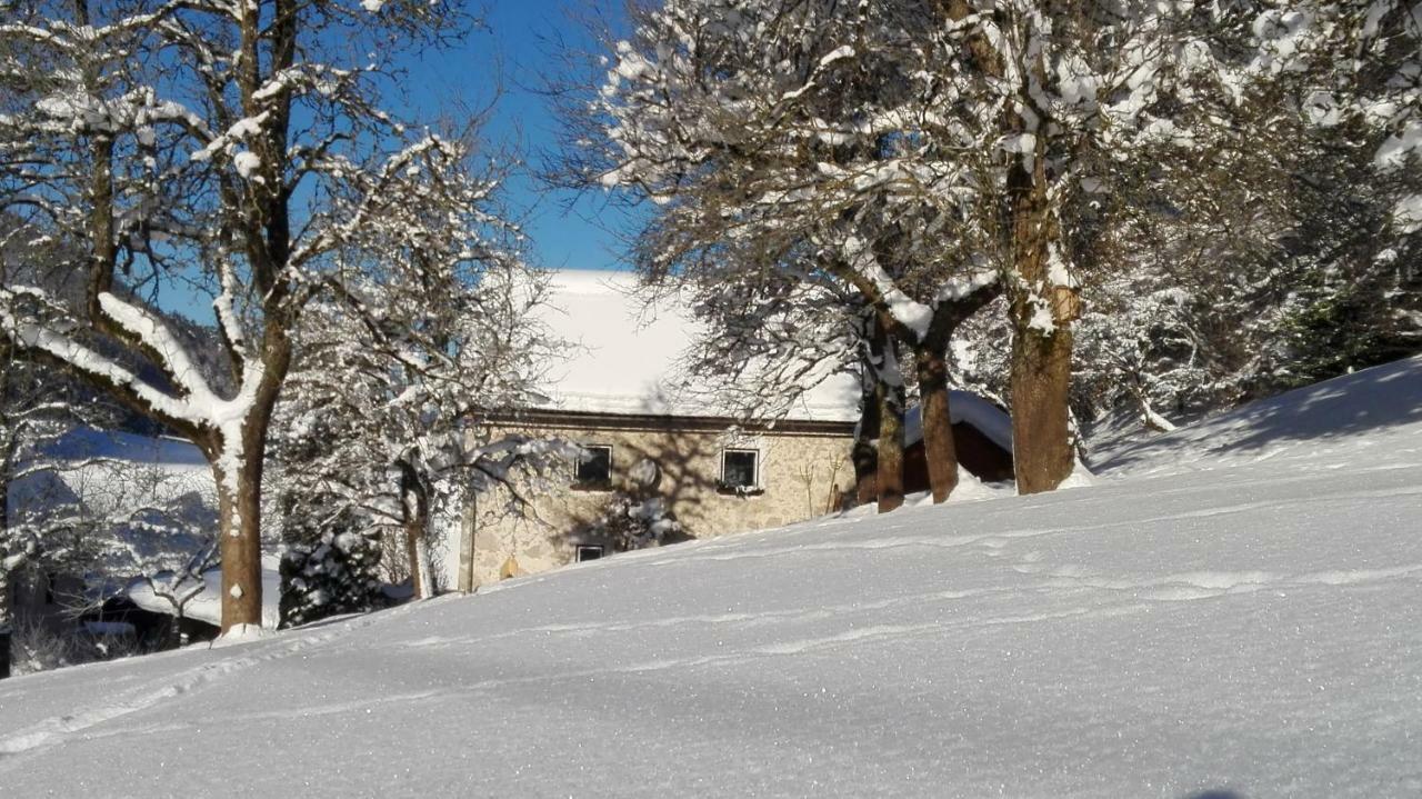 Ferienhaus Hirschnest Sankt Pankraz Esterno foto