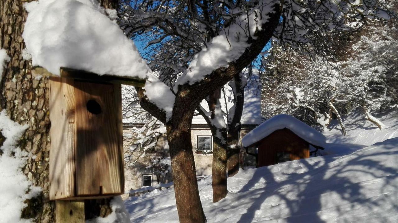 Ferienhaus Hirschnest Sankt Pankraz Esterno foto