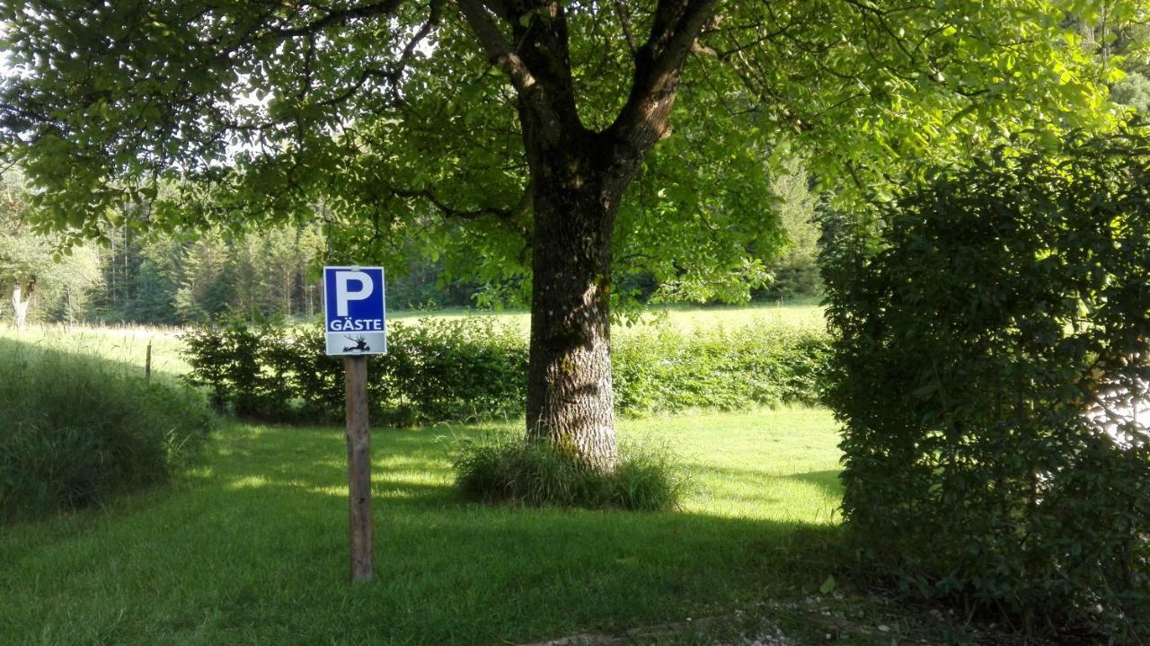 Ferienhaus Hirschnest Sankt Pankraz Esterno foto