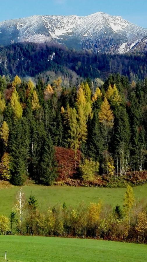 Ferienhaus Hirschnest Sankt Pankraz Esterno foto